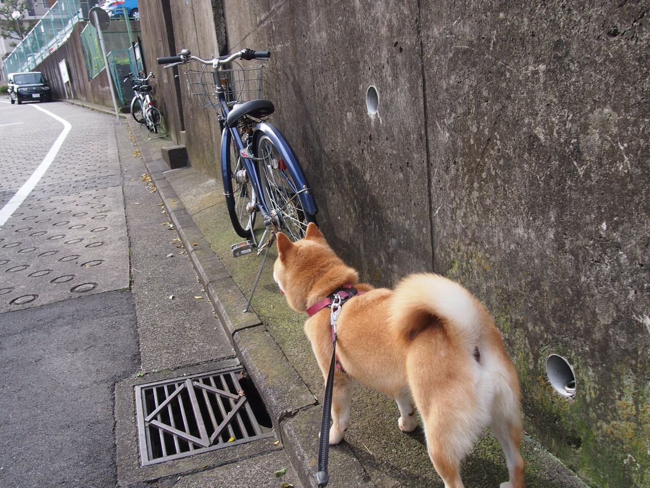 JIUYOU.COM-中超联盟新规公布，季后赛制度得到优化，中超联赛下一阶段