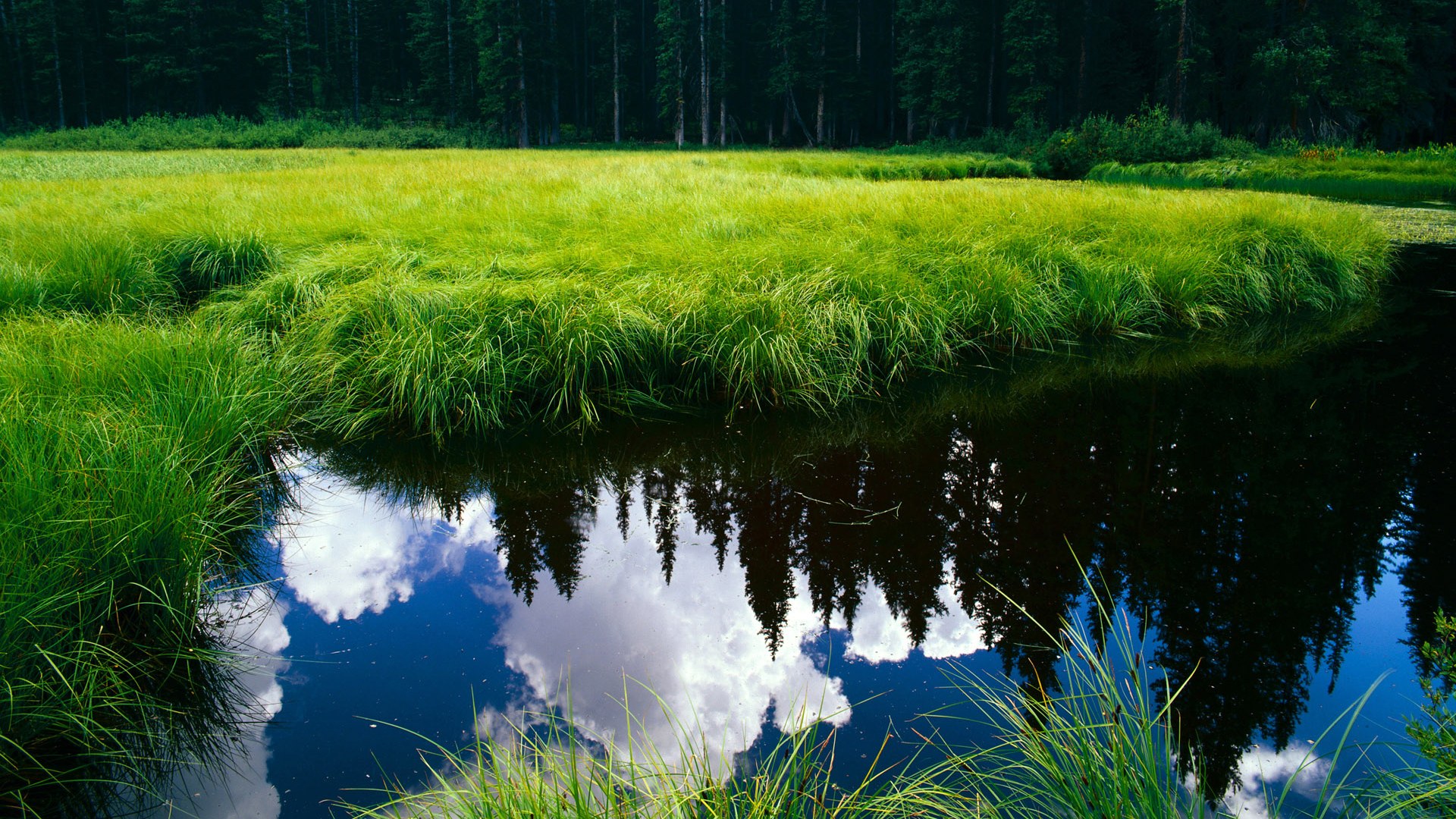 -全国球迷聚焦：直播现场的热烈氛围，球迷直播软件