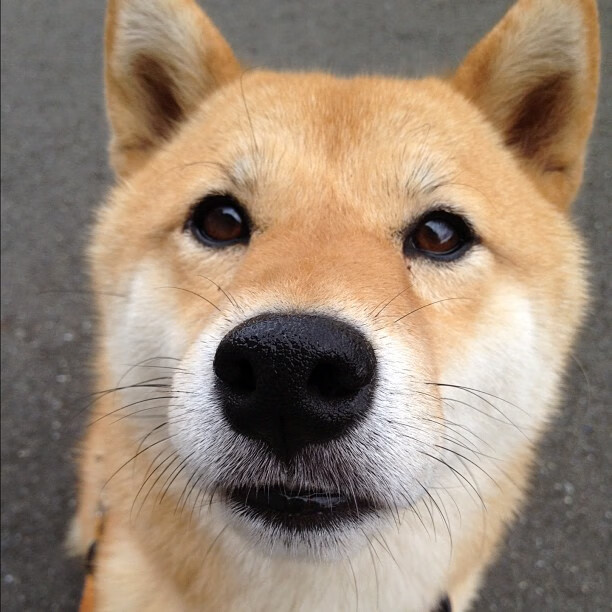 城市夜光跑,灯火辉煌中的青春旋律,城市夜晚灯光心情说说短句