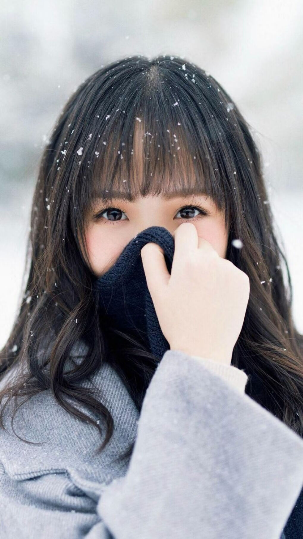 德甲联赛天价引援不断,豪门布局未来,德甲intro