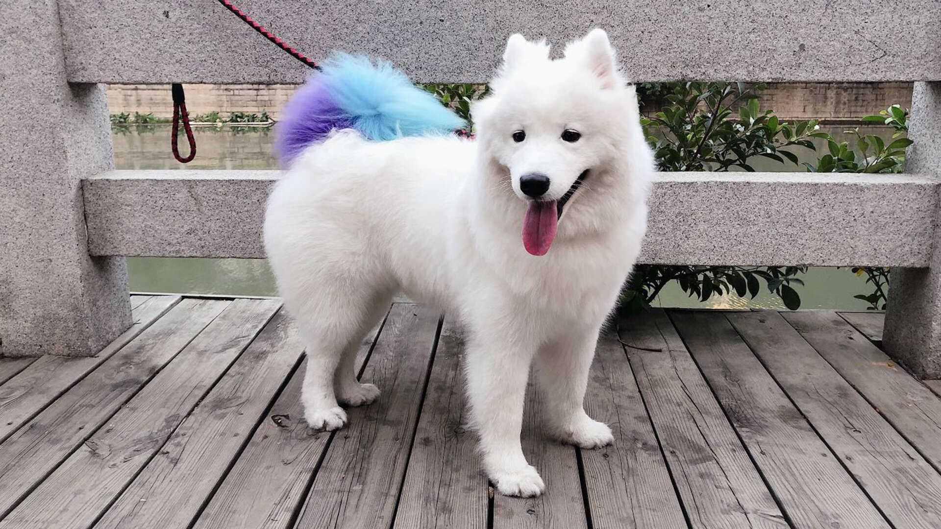 欧冠“黑马”崛起,逆袭夺冠不是梦,欧冠最新战报!黑马惊险过关