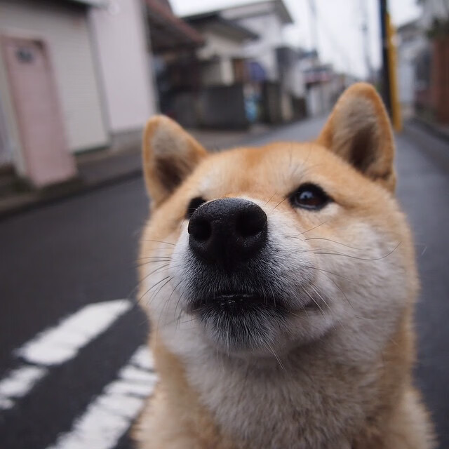 九游正版入口-经典车型历代变迁，历代汽车