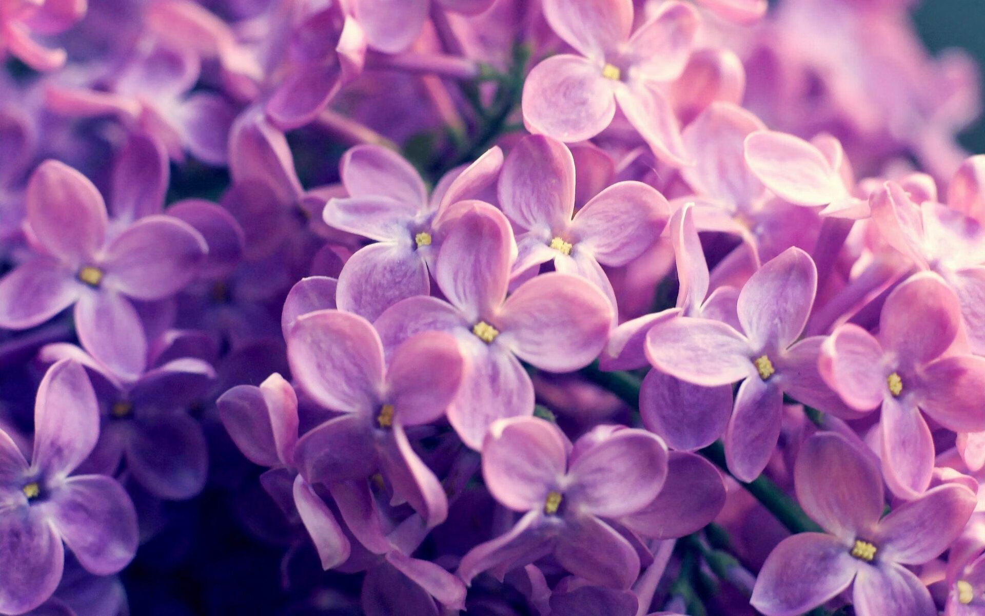 九游9游-赛场智谋：车队教练的隐藏战术，教练车队长竞聘演讲稿