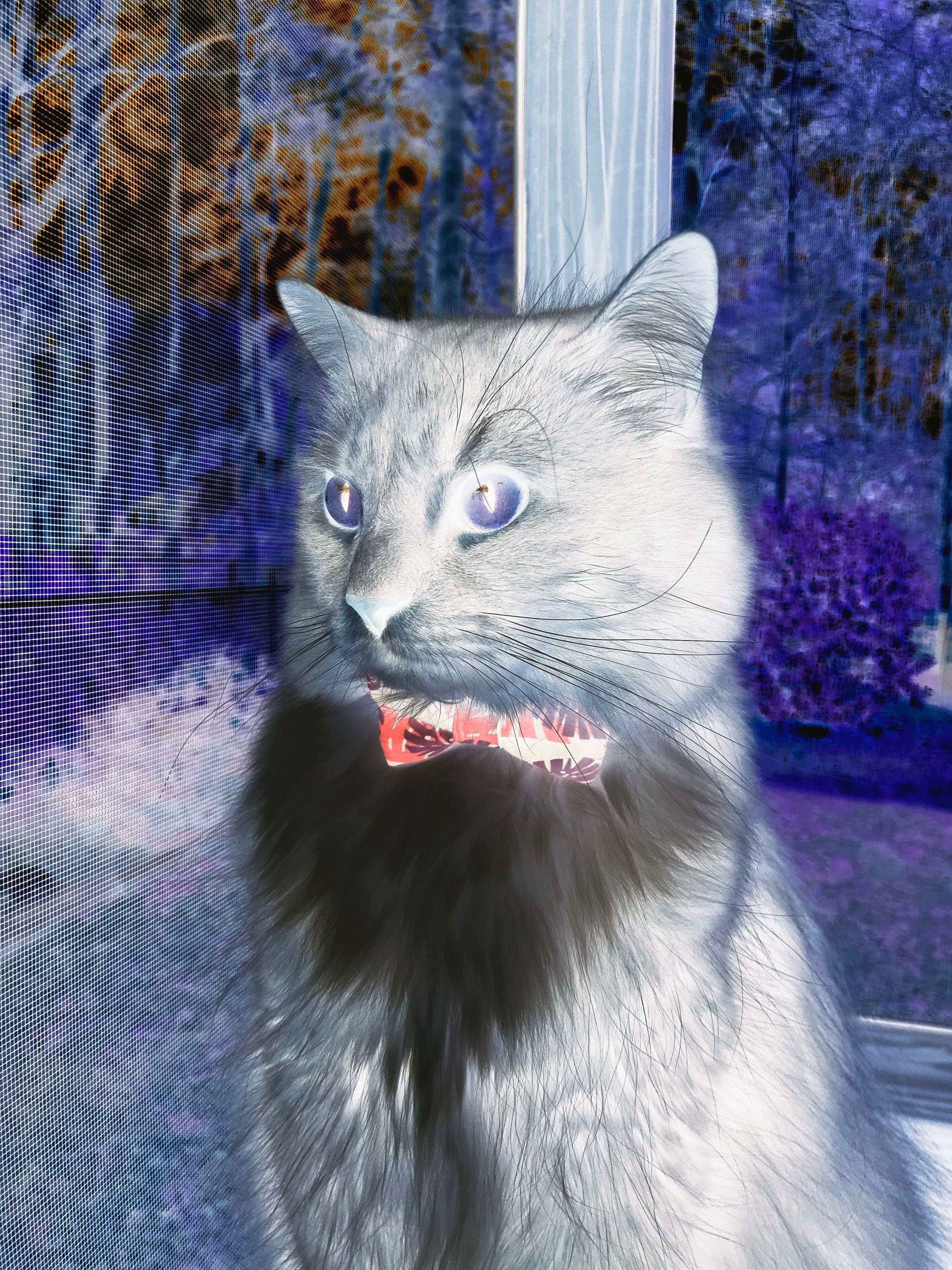 中国足球推出“足球公益助学”计划