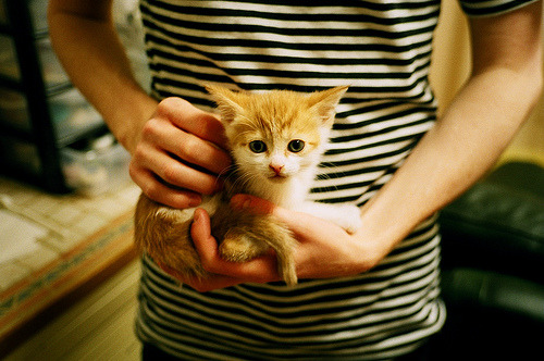 南特新援火速适应球队氛围,展示强劲上限潜力,南特主场