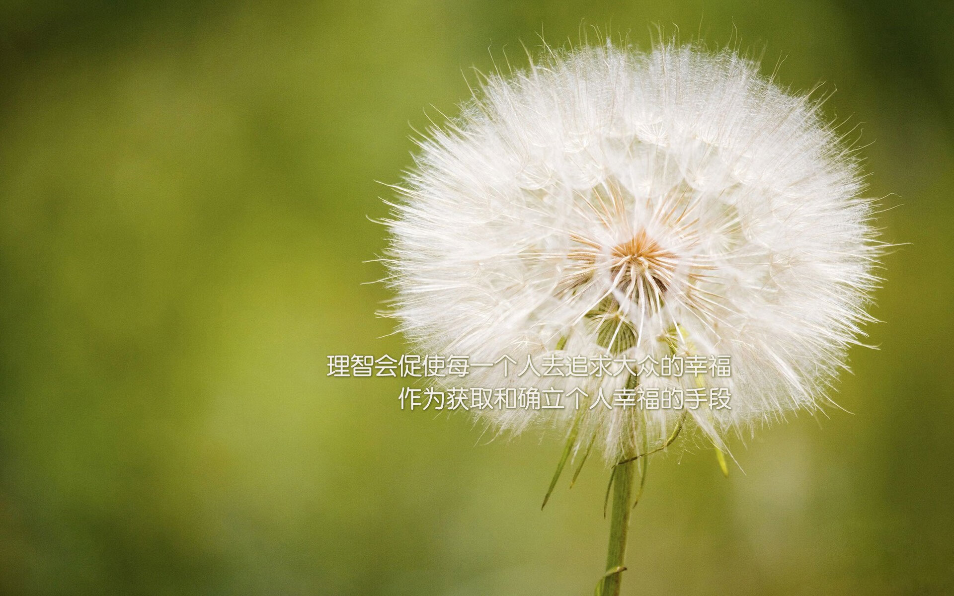 南特后防连续失球,主帅或将调整战术,南特球衣