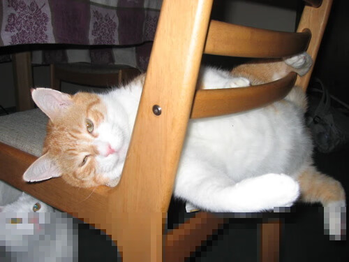 国际米兰在近期比赛中展现出优异表现,国际米兰在近期比赛中展现出优异表现有哪些