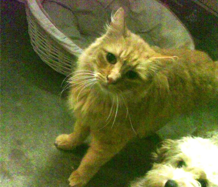 九游娱乐APP-斯洛特在比赛中大胆使用替补球员，保持球队活力，斯洛特耶斯退役原因