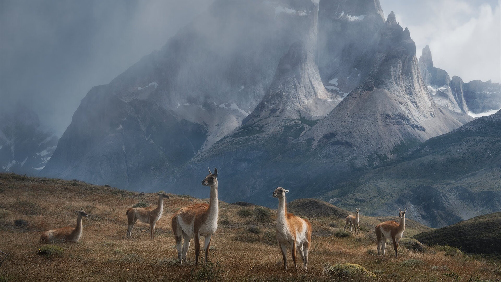 曼联迎战桑德兰,索尔斯克亚能否带领球队获胜?,曼联主教练索尔斯克亚个人资料