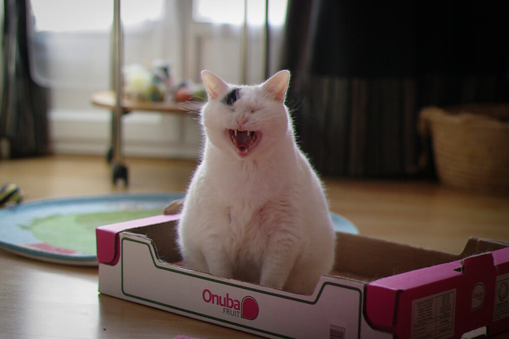 -球员在社交媒体上的言论是否影响形象，nba球员都用什么社交媒体