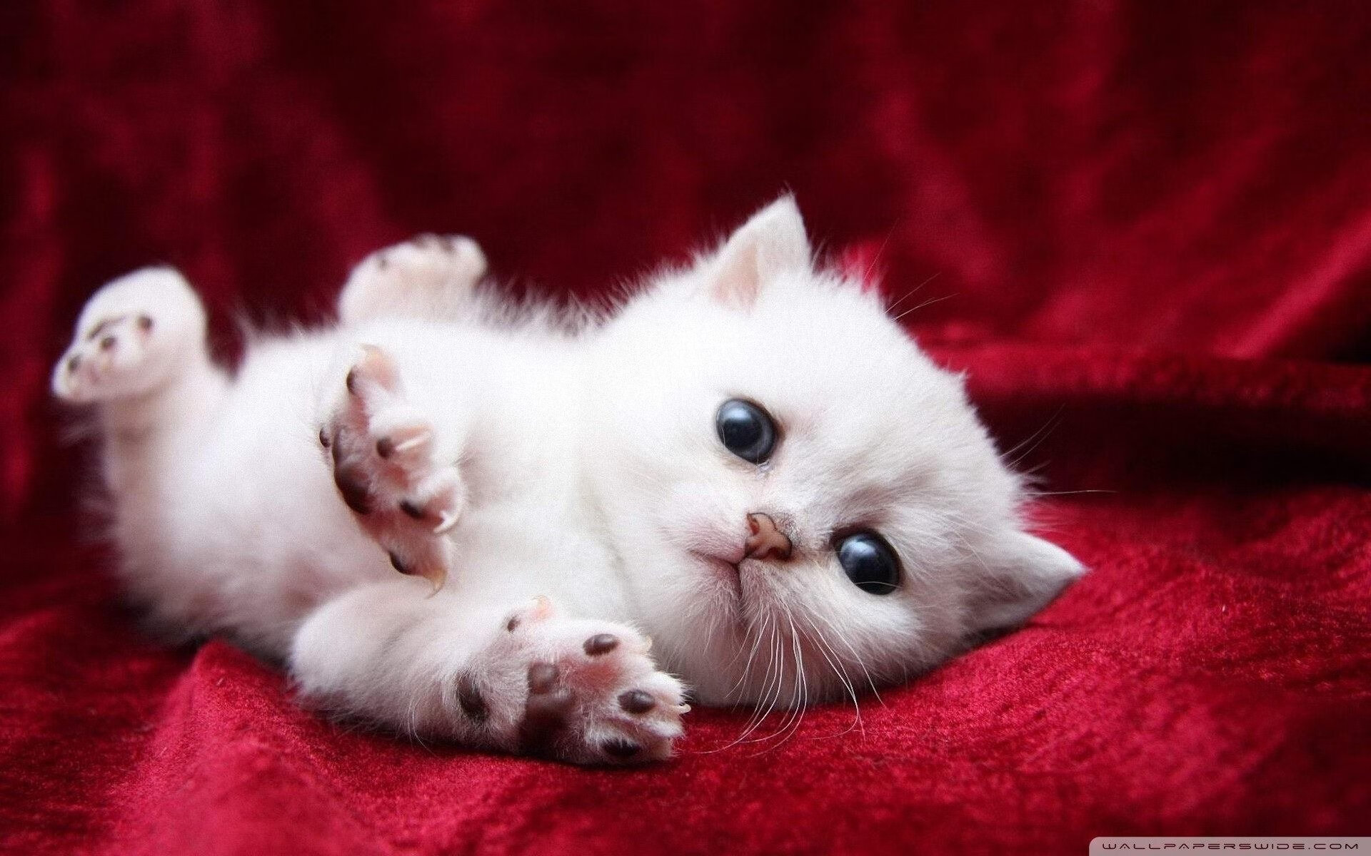 -瓦拉多利德客场不敌强敌，遭遇失利，瓦拉多利德对马德里竞技直播