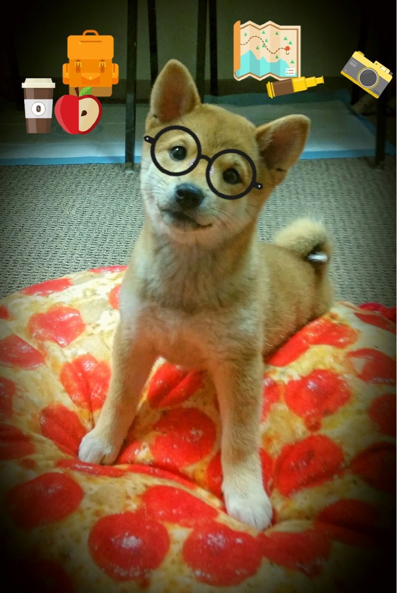 九游正版入口-突发羽毛球赛程延误原因，羽毛球赛暂停