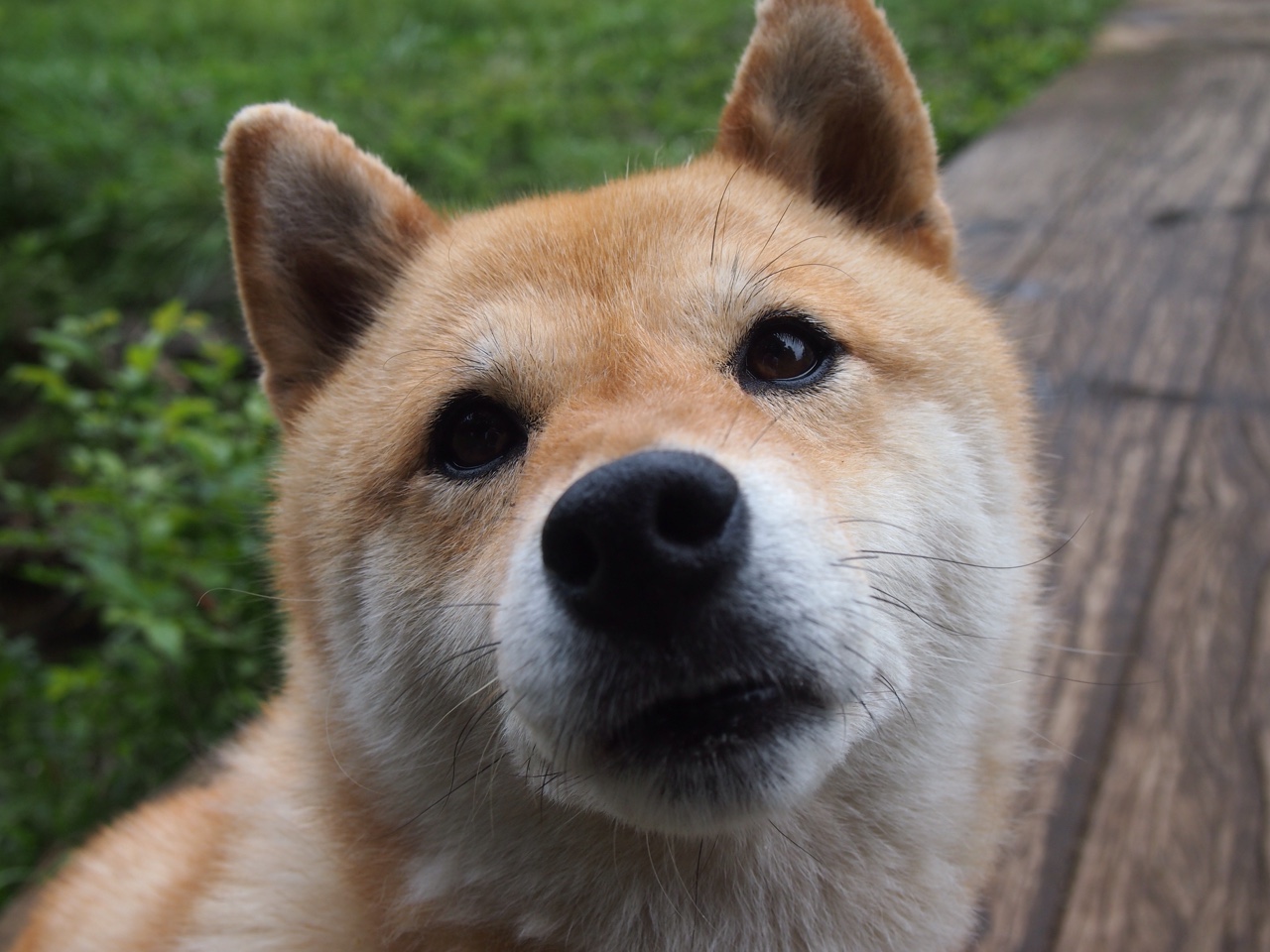 美因茨球队实现胜利逆转,取得宝贵三分,美因茨换主教练了吗