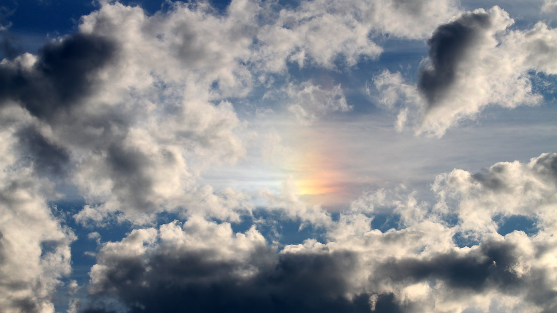 NBA球员职业规划实施方案,nba球员职业生涯