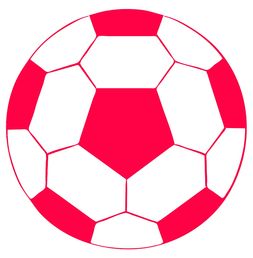 Jiu You-体育类短视频内容对青少年运动行为的引导作用研究，体育短视频定义