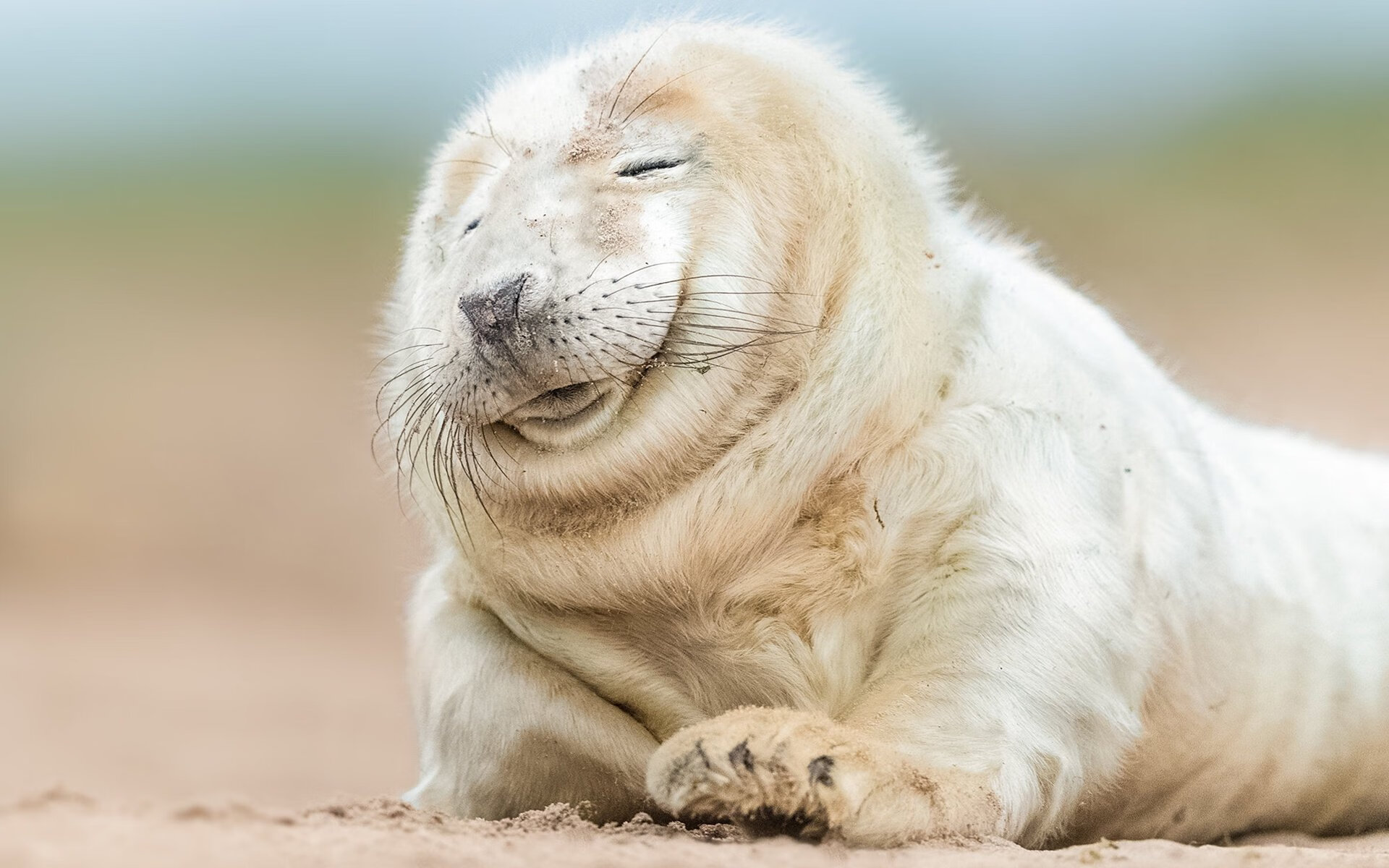 九游sports-运动员心理素质培养方法，运动员心理素质培养方法包括