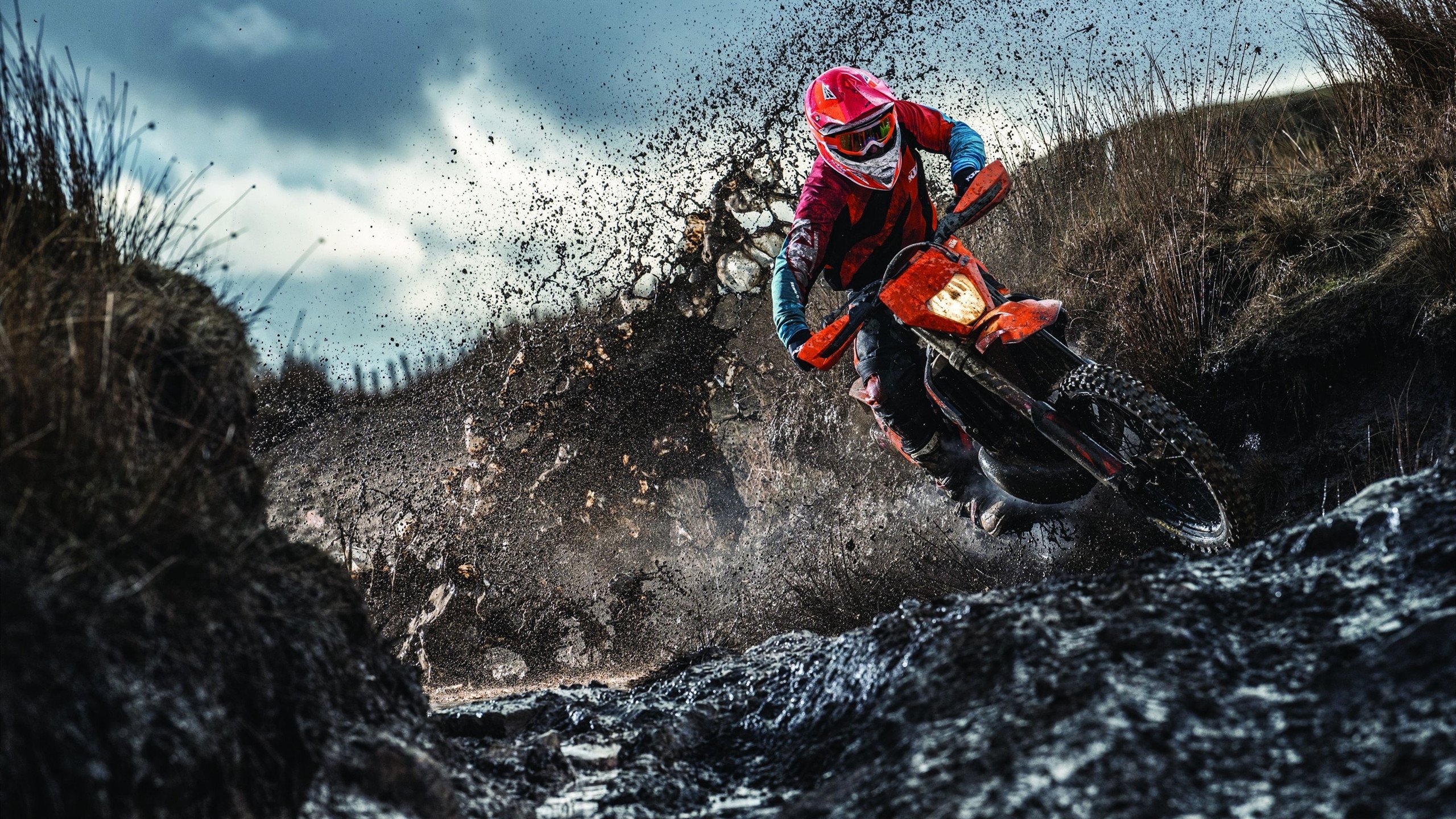 -体育新闻中心参与制定体育融媒体课程教学大纲，体育媒体工作