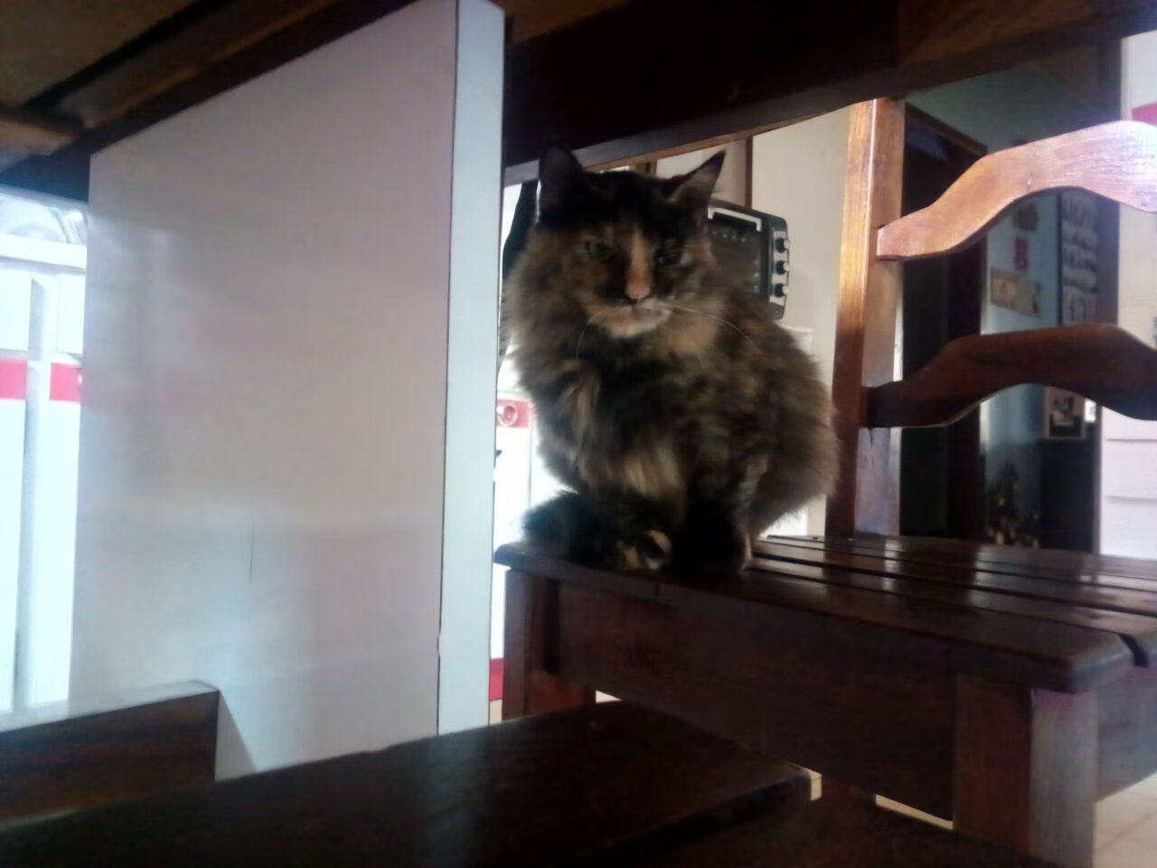 查尔莫斯:老将状态依旧火热,查尔莫斯集锦