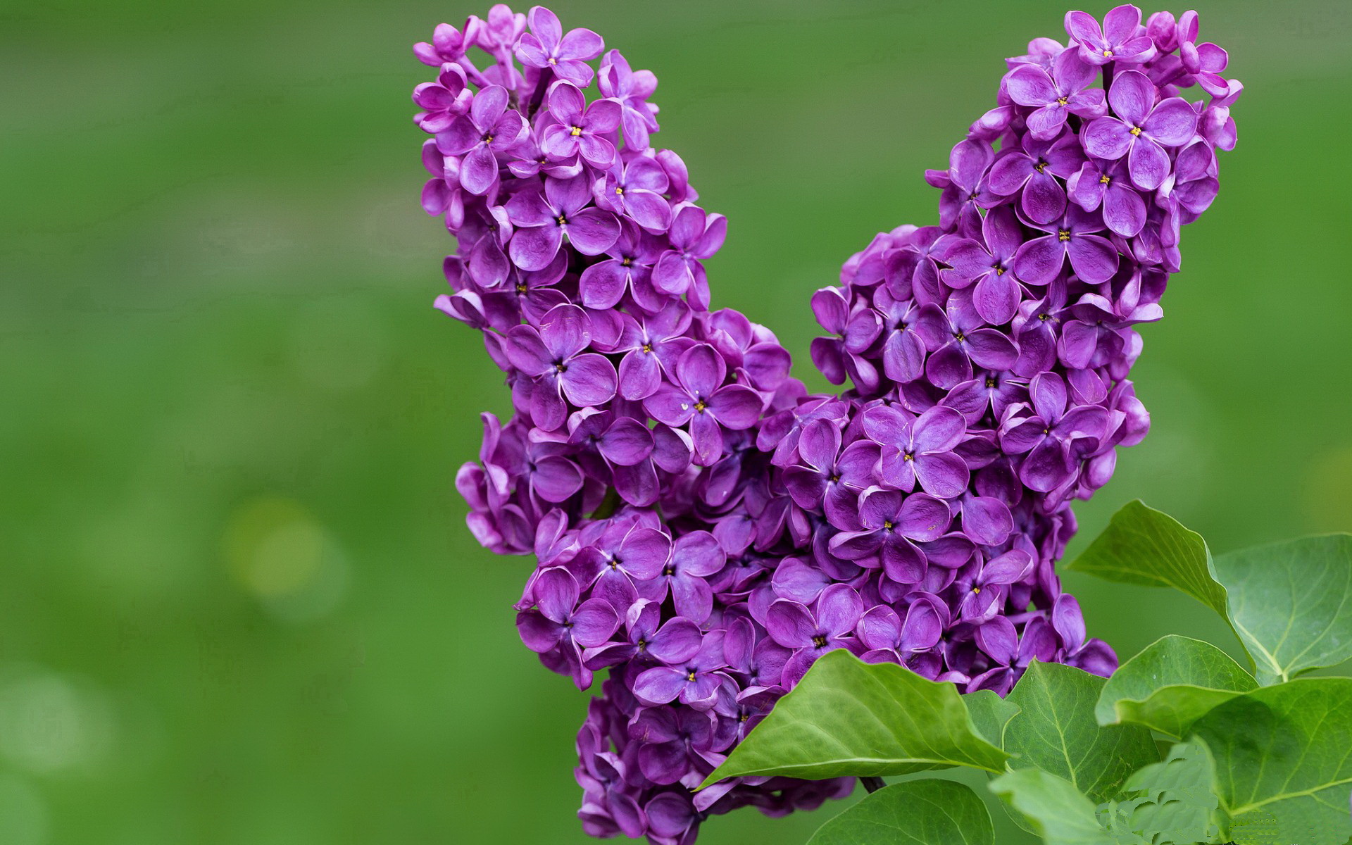 羽毛球选手专项心理辅导提升临场表现,羽毛球学员