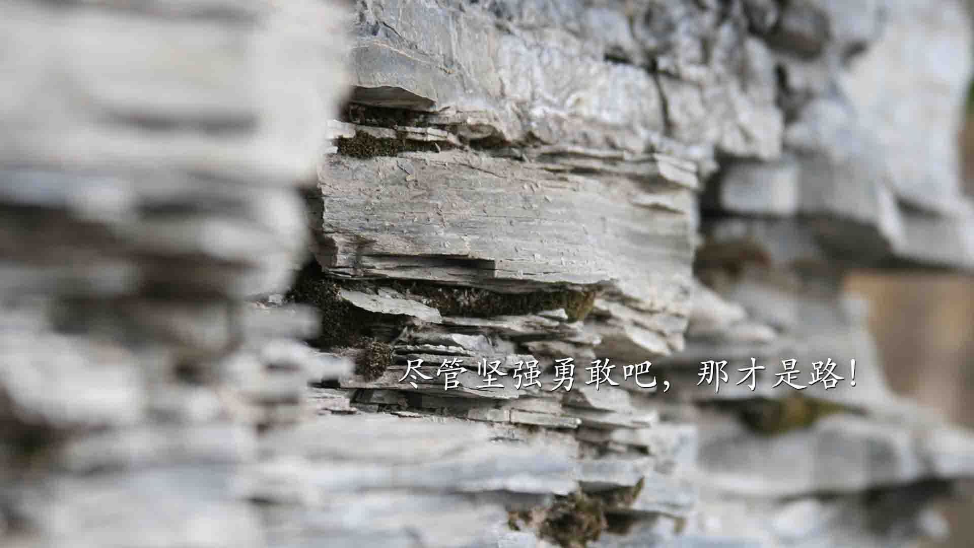 九游娱乐中心-恩比德表示重返季后赛是唯一目标，恩比德赛季集锦