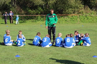 九游用户空间-欧洲杯冠军悬念：战术配合与个人能力巅峰对决，欧洲杯冠军大热门
