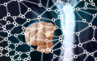 九游体育入口-中国篮球职业联赛青训体系的结构优化，中国青年篮球联赛简称