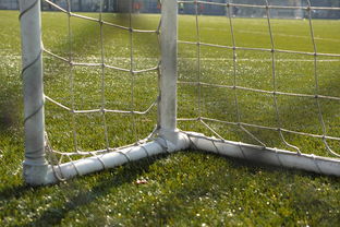 九游下载官网-中国足球门将扑救区域热图，中国足球门将最差吗