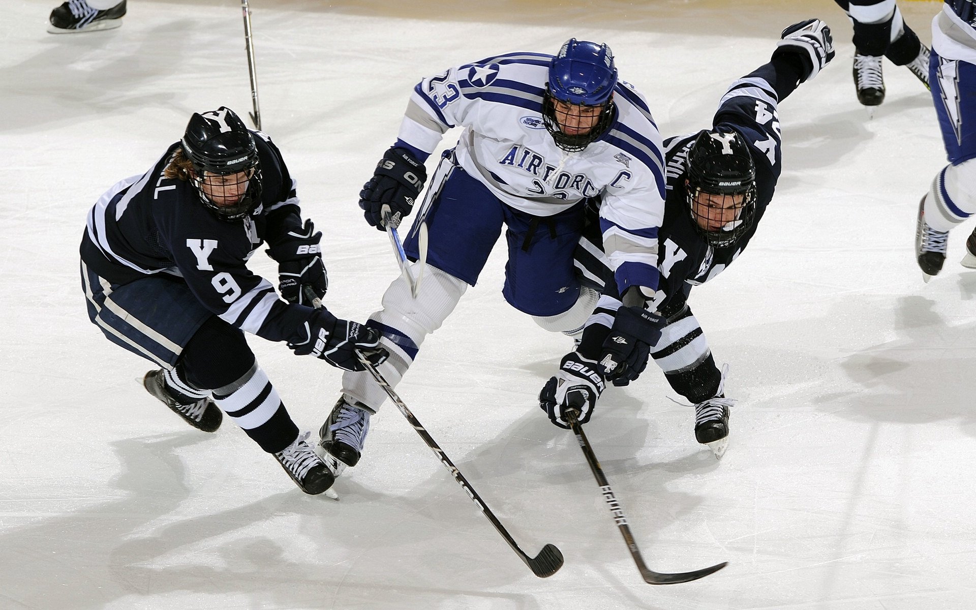 运动员运动伤害预防技术，预防运动员损伤及治疗运动员损伤的重要手段